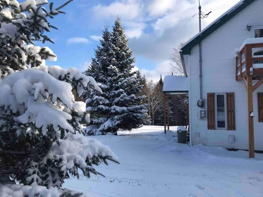 Le Jazz- Chalet Rustique/Chic Avec Spa Notre-Dame-Des-Bois Eksteriør bilde
